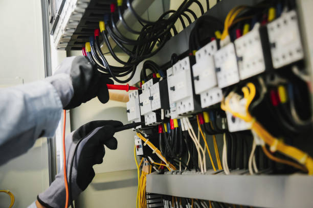 Best Electrical Panel Upgrades  in Channahon, IL